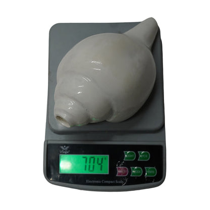Premium Vishnu Shankh for Puja & Meditation