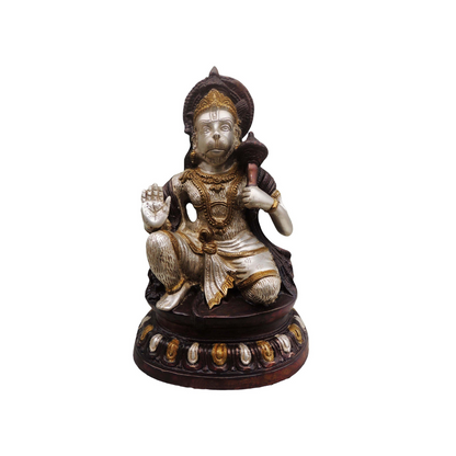 Brass Hanuman Ji Statue