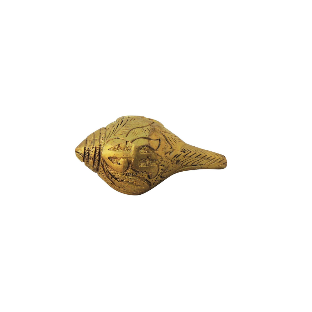 Brass Shank Conch