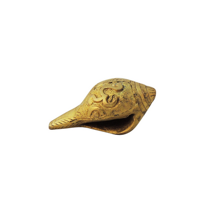 Brass Shank Conch