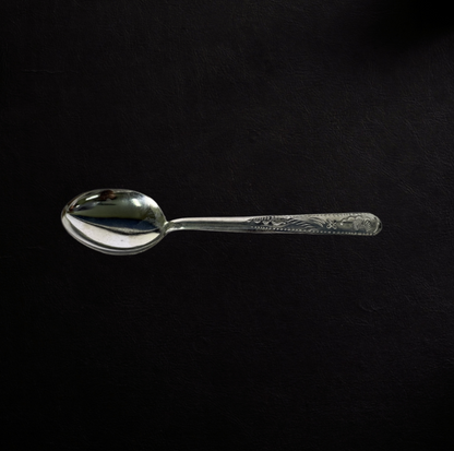 Pure Silver Spoon 20g - PUSHMYCART