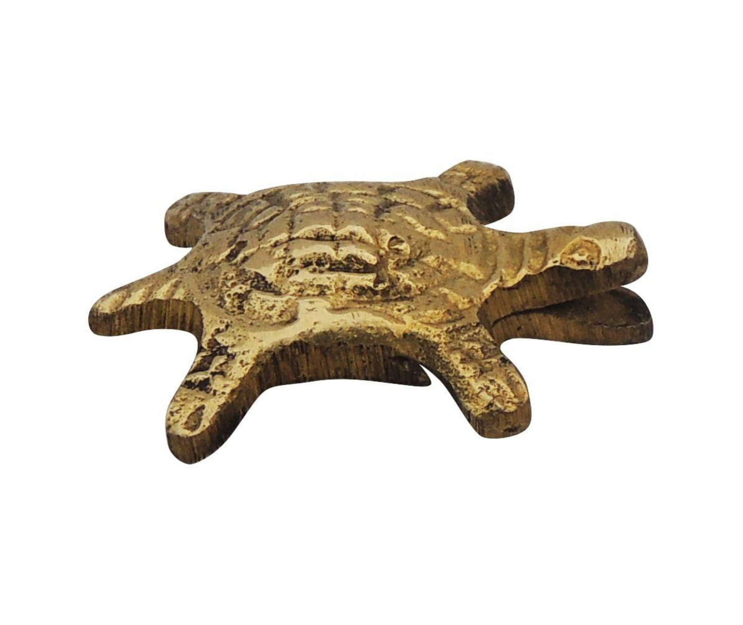 Brass Tortoise Statue Small