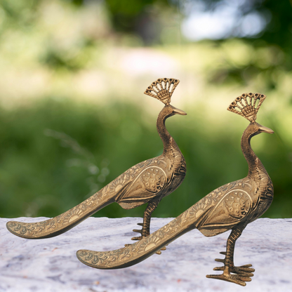 Brass Peacock Pair Statue