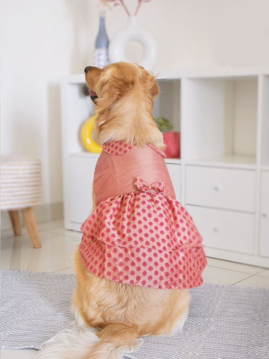 VASTRAMAY Dogs' Pink Printed Flared Frock With Attached Bow