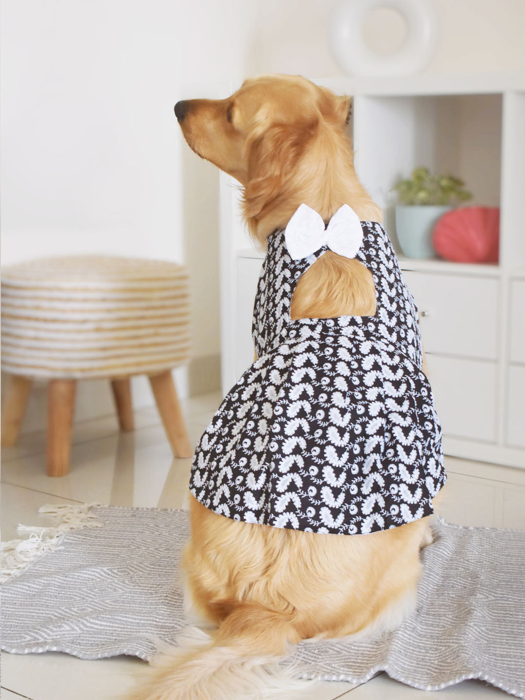 VASTRAMAY Dogs' Black Chikankari Flared Dress With Attached Bow