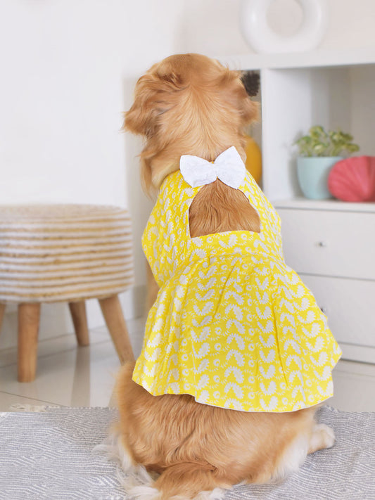 VASTRAMAY Dogs' Yellow Chikankari Flared Dress With Attached Bow