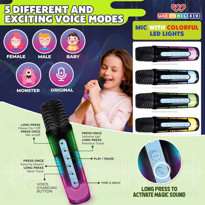 Wembley Karaoke Bluetooth Speaker with Mic