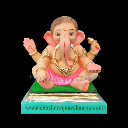 Gattu Bal ganesh