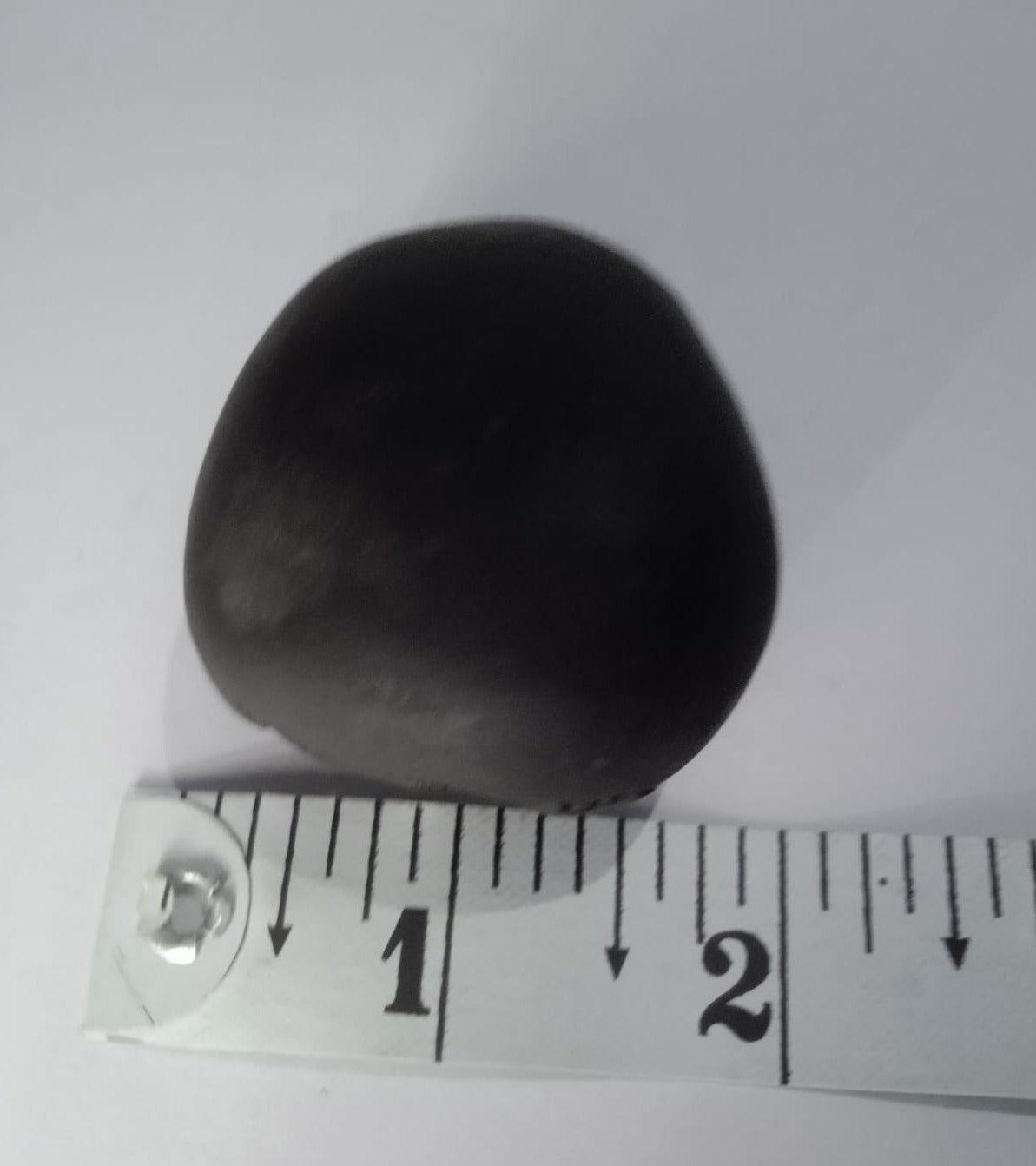 Govinda Shaligram Original from GANDAK River - PUSHMYCART