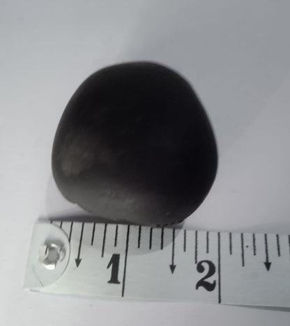 Govinda Shaligram Original from GANDAK River - PUSHMYCART