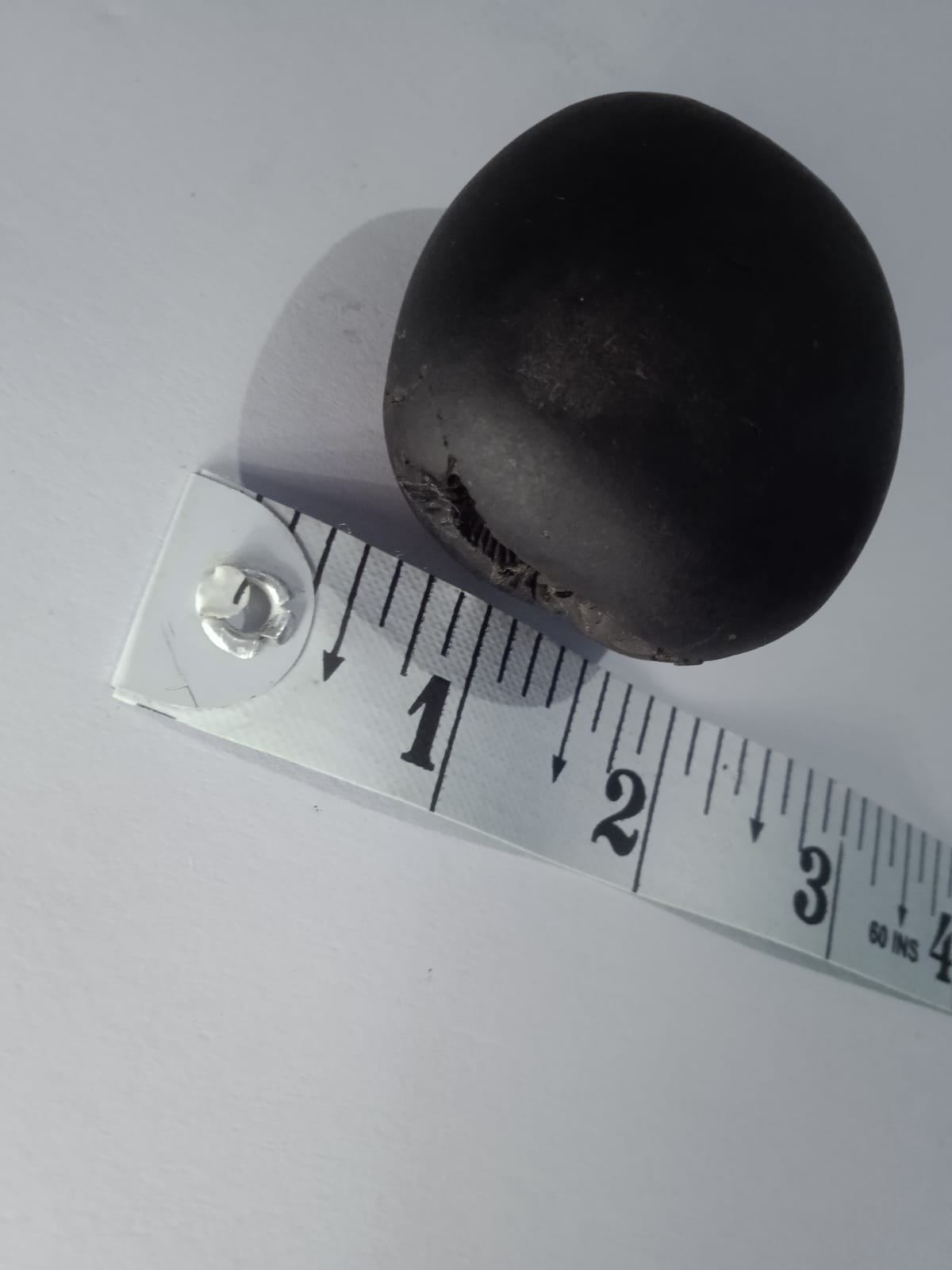 Govinda Shaligram Original from GANDAK River - PUSHMYCART