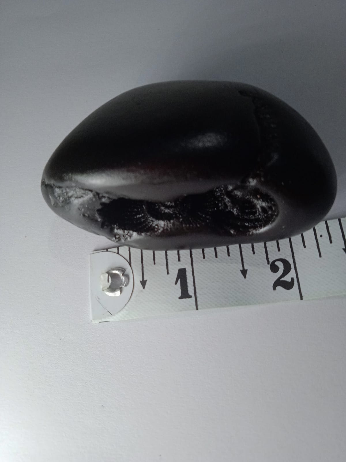 Chakradhari vishnu Shaligram - PUSHMYCART