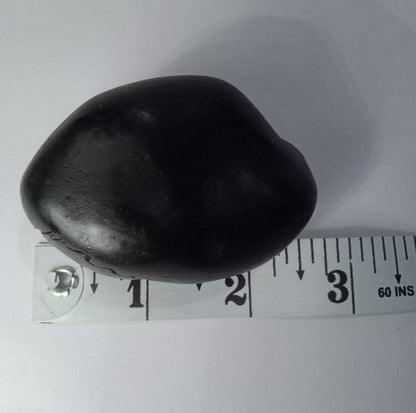 Damodar Shaligram 121g - PUSHMYCART