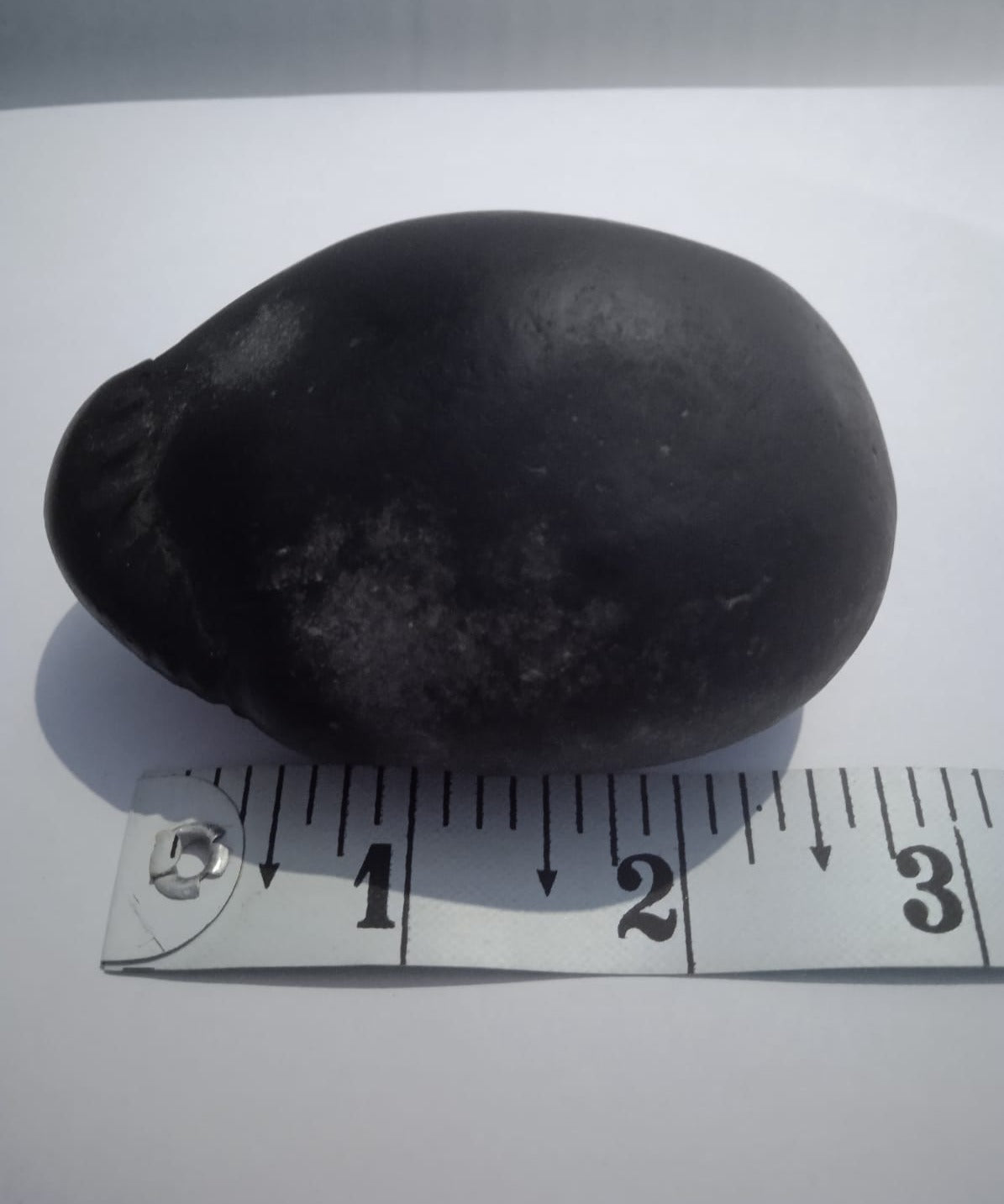 Damodar Shaligram 226g - PUSHMYCART
