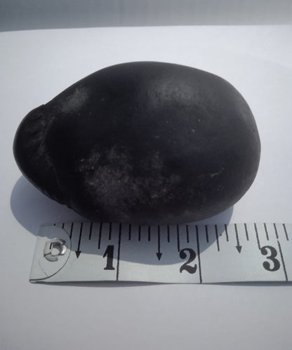 Damodar Shaligram 226g - PUSHMYCART