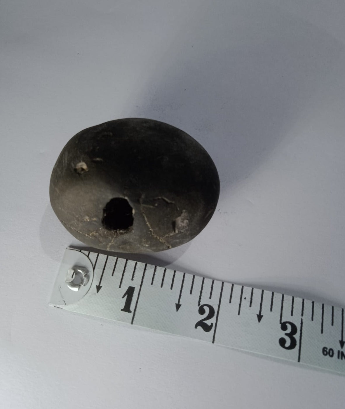 Govinda Shaligram from Gandaki River - PUSHMYCART
