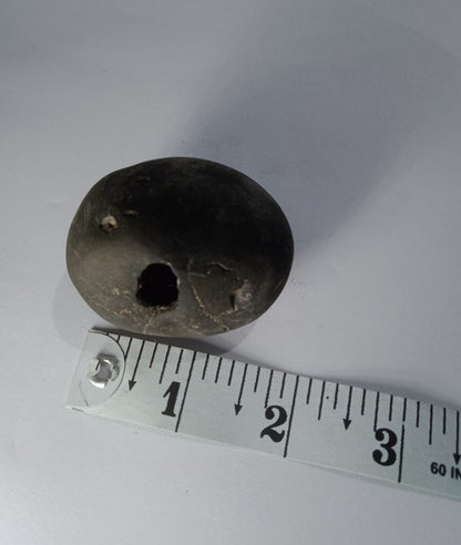 Govinda Shaligram from Gandaki River - PUSHMYCART