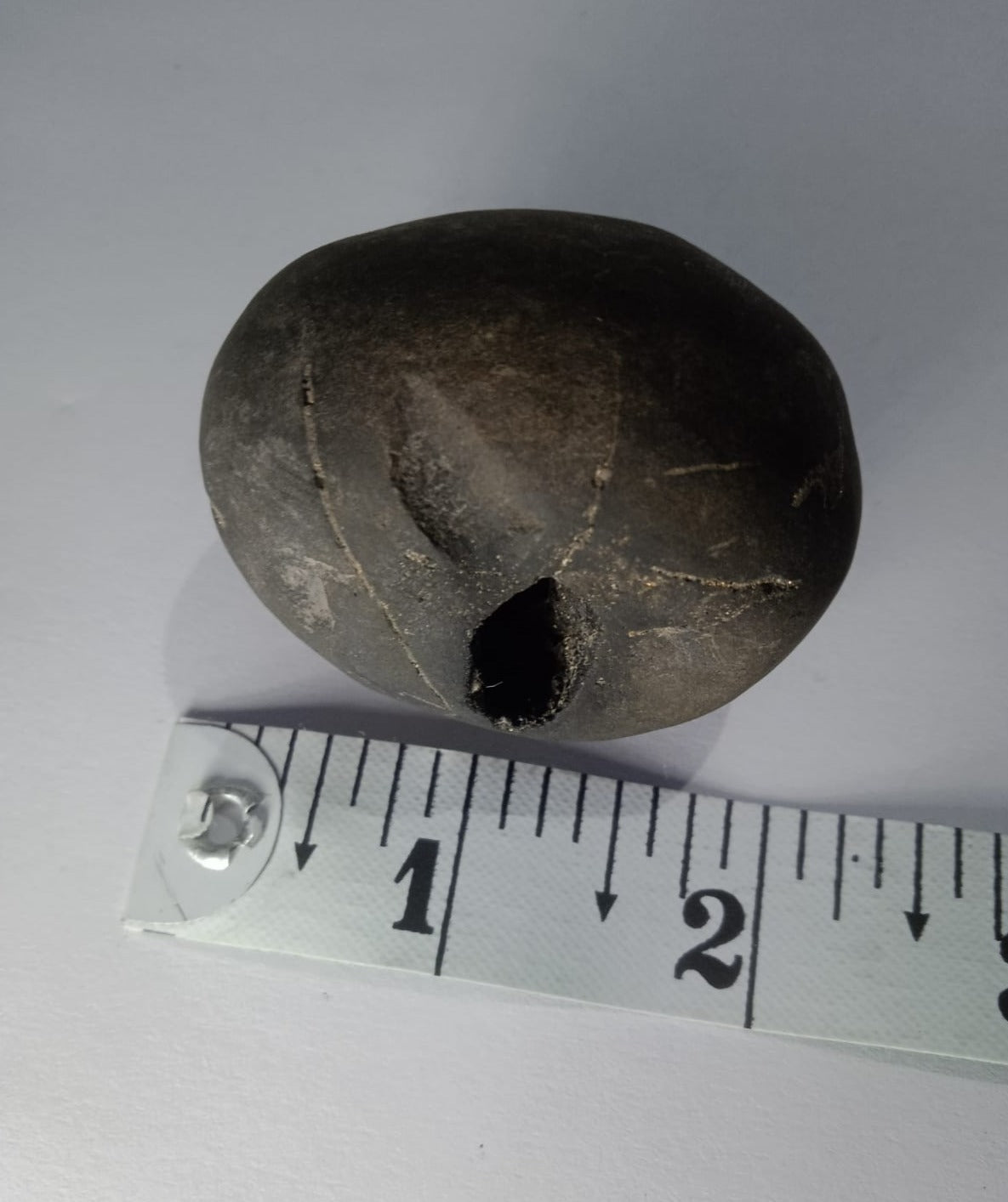Govinda Shaligram from Gandaki River - PUSHMYCART