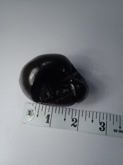 Hayagriva Shaligram from Gandaki River - PUSHMYCART