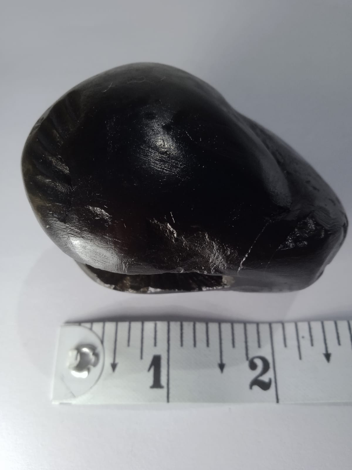 Original Hayagriva Shaligram from Gandaki River - PUSHMYCART