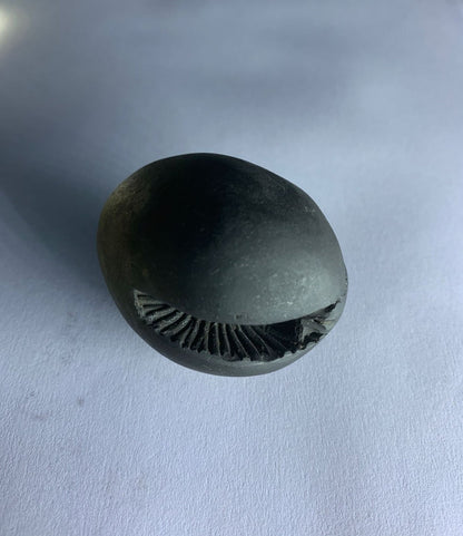 Gandaki River Govinda Shaligram - PUSHMYCART