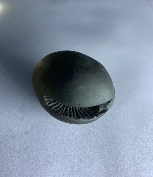 Gandaki River Govinda Shaligram - PUSHMYCART