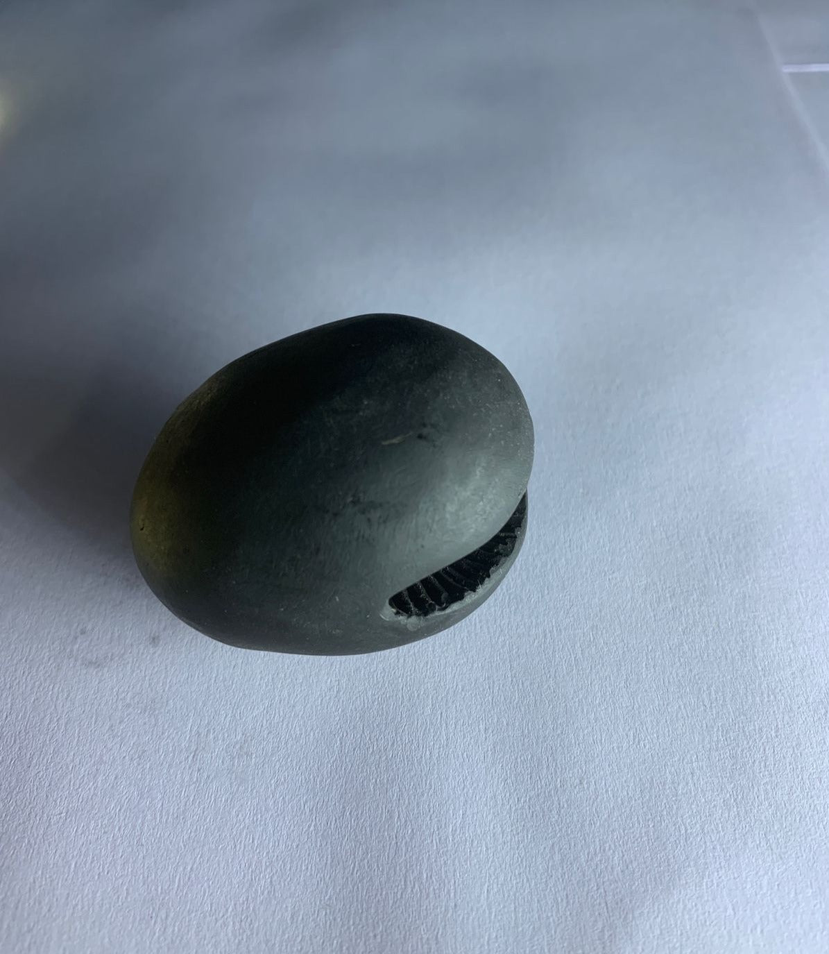 Gandaki River Govinda Shaligram - PUSHMYCART