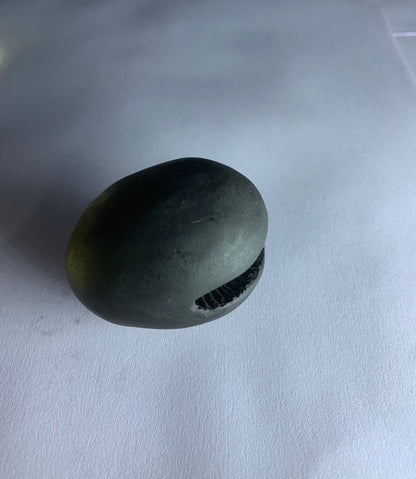 Gandaki River Govinda Shaligram - PUSHMYCART