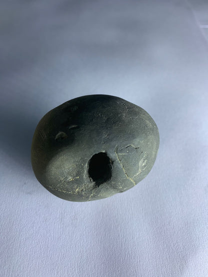 Govinda Shaligram from Gandaki River - PUSHMYCART