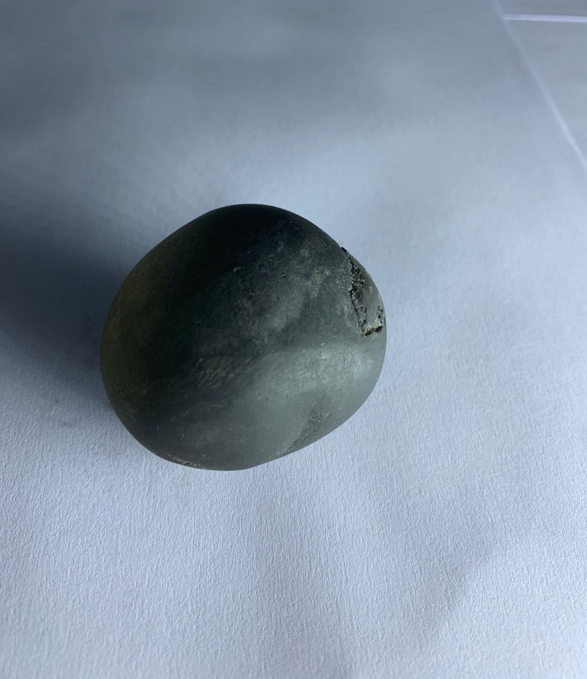 Govinda Shaligram Original from GANDAK River - PUSHMYCART