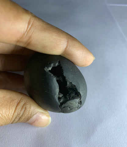 Govinda Shaligram Original from GANDAK River - PUSHMYCART