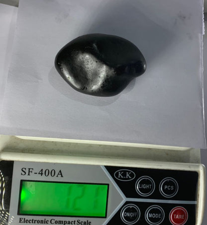 Damodar Shaligram 121g - PUSHMYCART