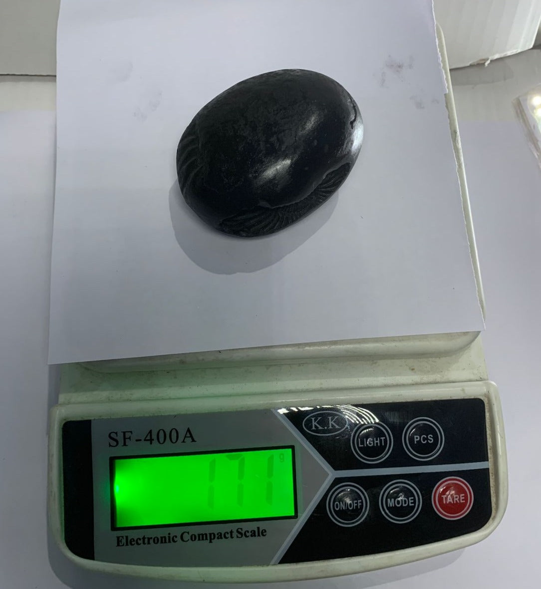 Damodar Shaligram 171g - PUSHMYCART