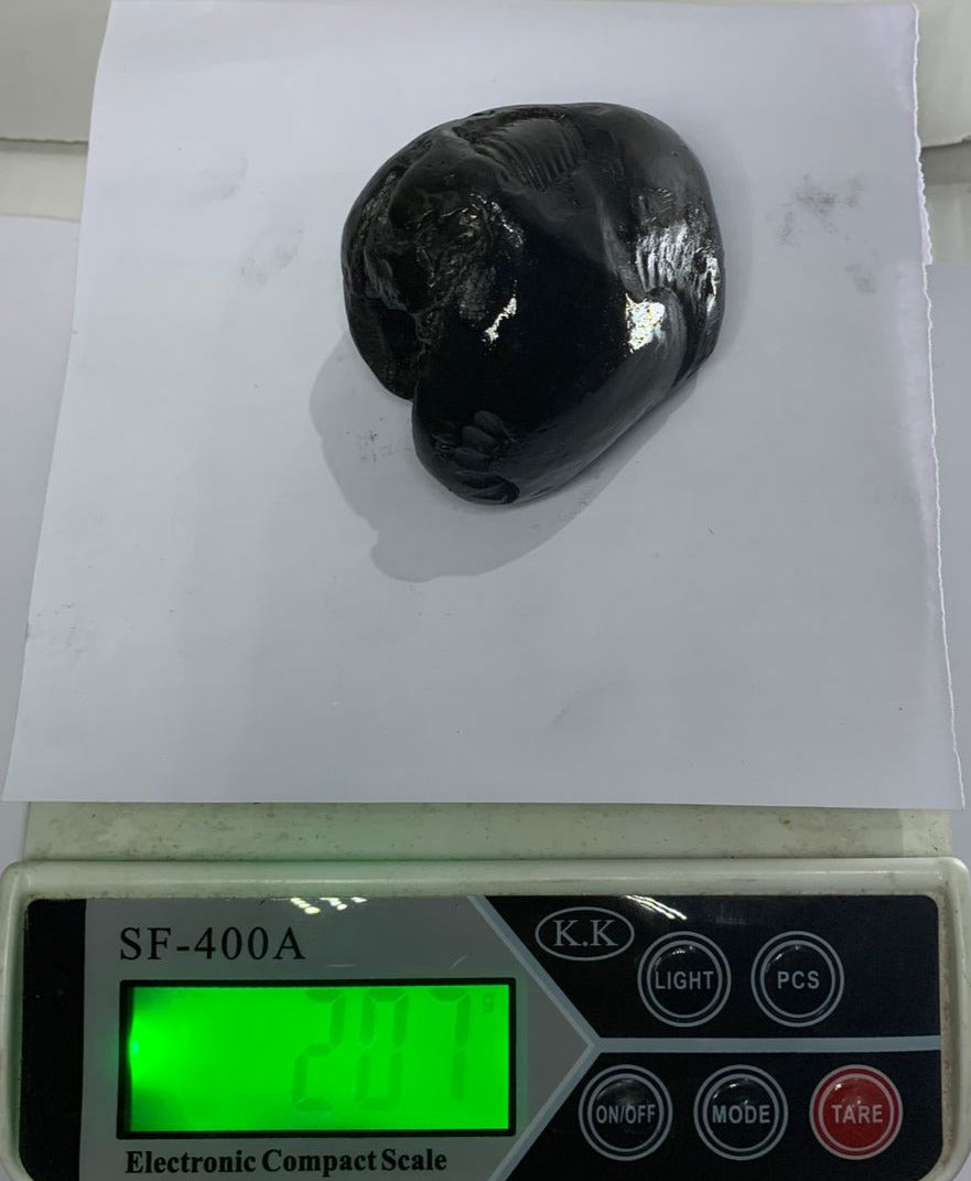 Original Hayagriva Shaligram from Gandaki River - PUSHMYCART