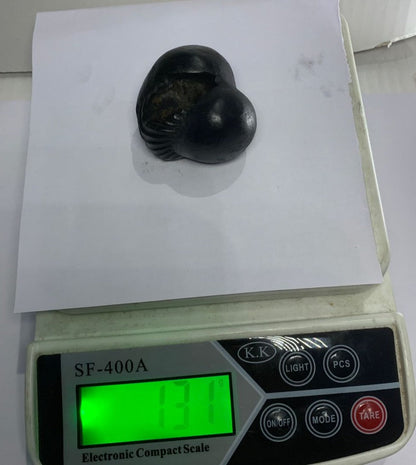 Damodar Shaligram 131g - PUSHMYCART