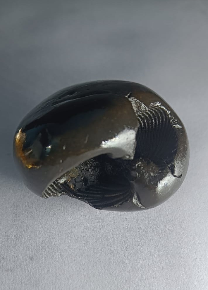 Hayagriva Shaligram from Gandaki River - PUSHMYCART