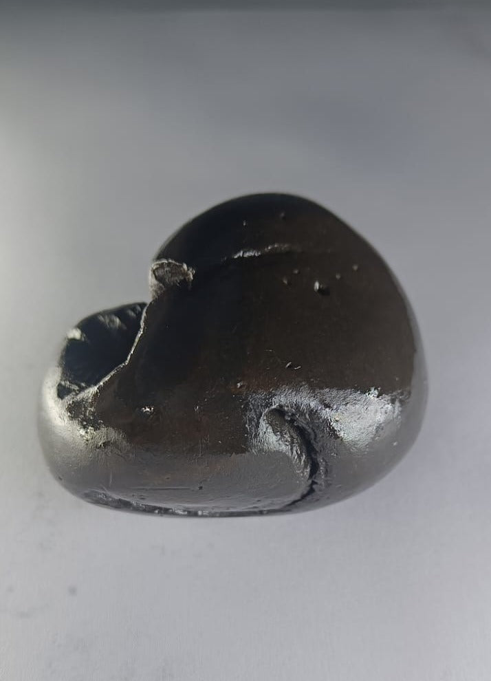 Hayagriva Shaligram from Gandaki River - PUSHMYCART