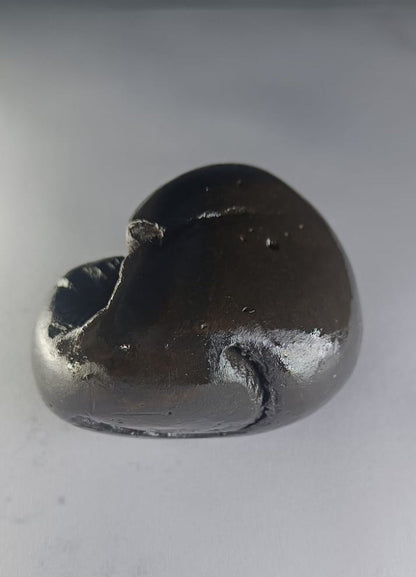 Hayagriva Shaligram from Gandaki River - PUSHMYCART