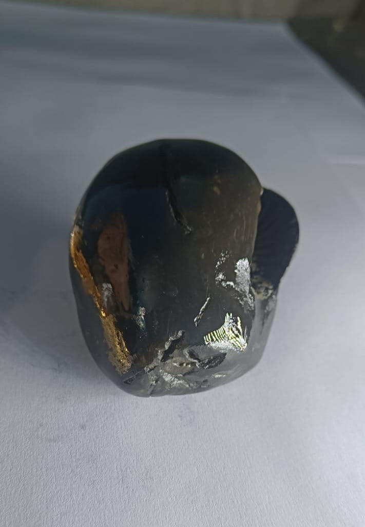 Original Hayagriva Shaligram from Gandaki River - PUSHMYCART