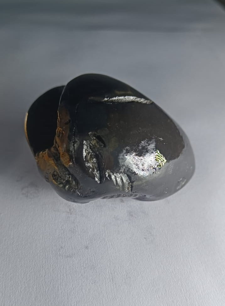 Original Hayagriva Shaligram from Gandaki River - PUSHMYCART
