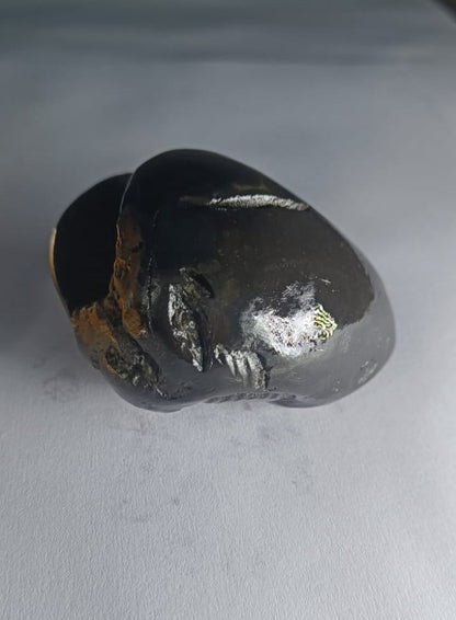 Original Hayagriva Shaligram from Gandaki River - PUSHMYCART