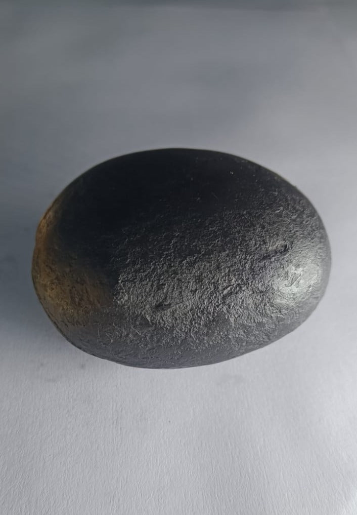 Damodar Shaligram 171g - PUSHMYCART