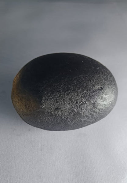 Damodar Shaligram 171g - PUSHMYCART