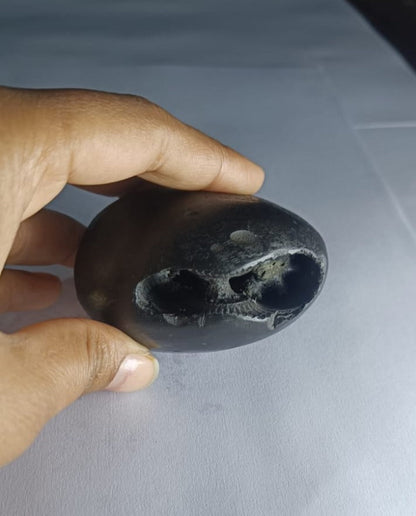 Damodar Shaligram 171g - PUSHMYCART