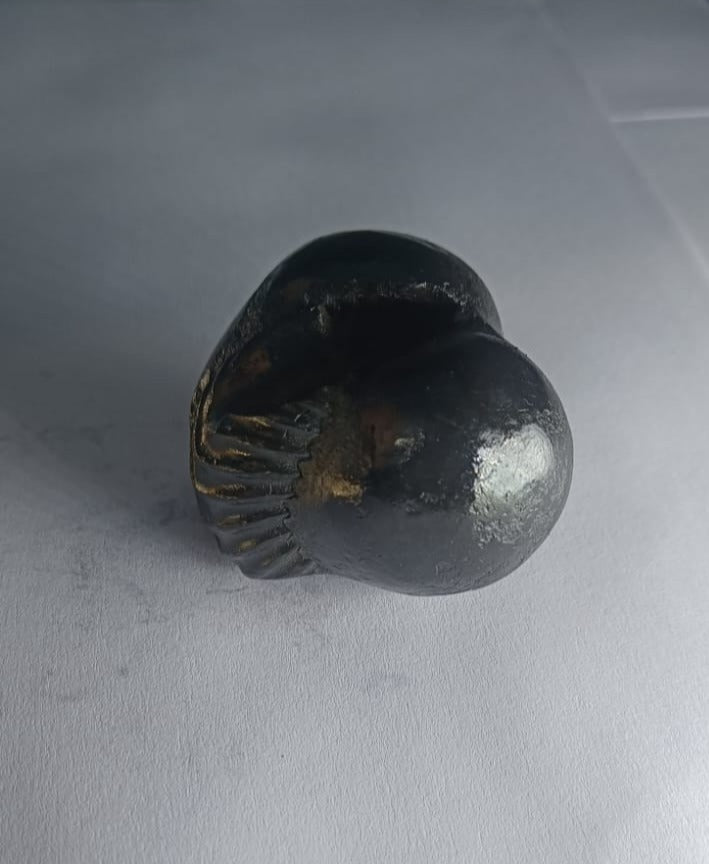 Damodar Shaligram 131g - PUSHMYCART