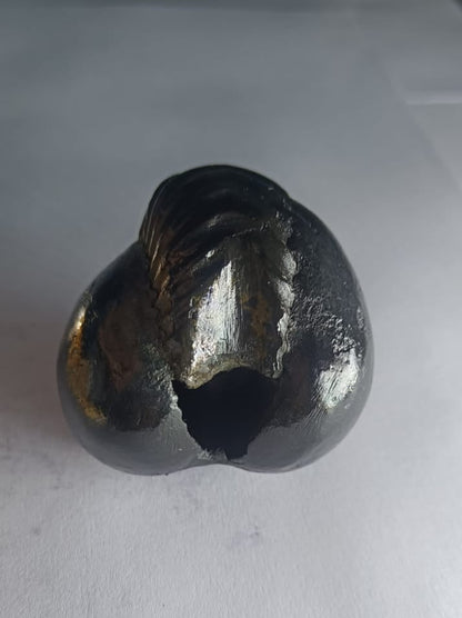 Damodar Shaligram 131g - PUSHMYCART