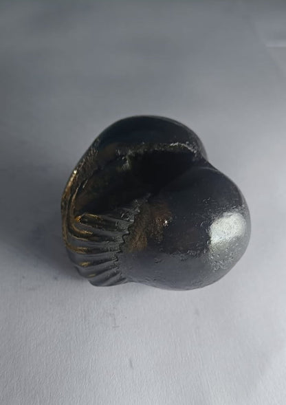 Damodar Shaligram 131g - PUSHMYCART