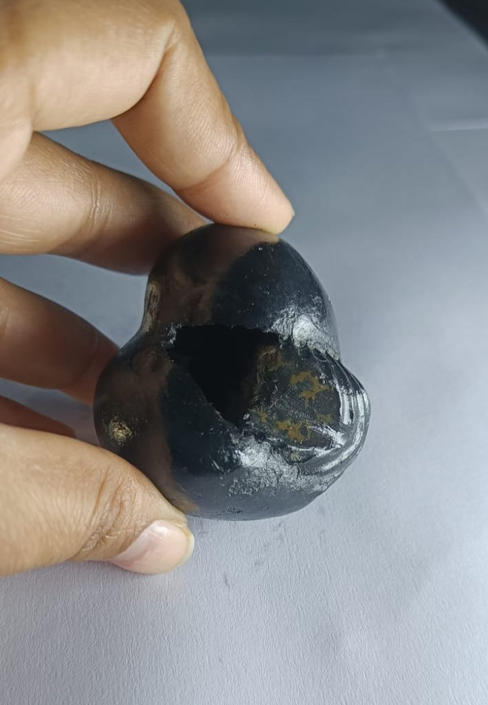 Damodar Shaligram 131g - PUSHMYCART