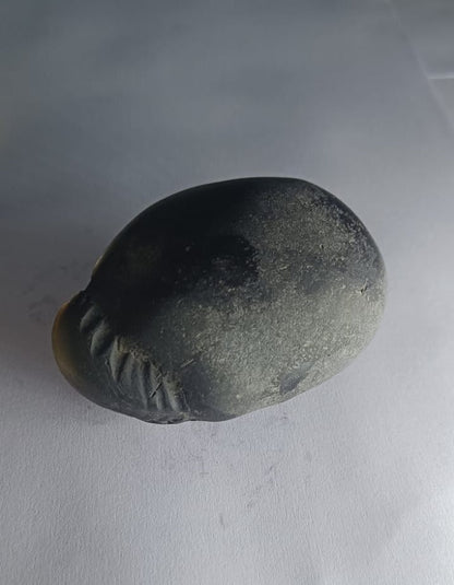 Damodar Shaligram 226g - PUSHMYCART