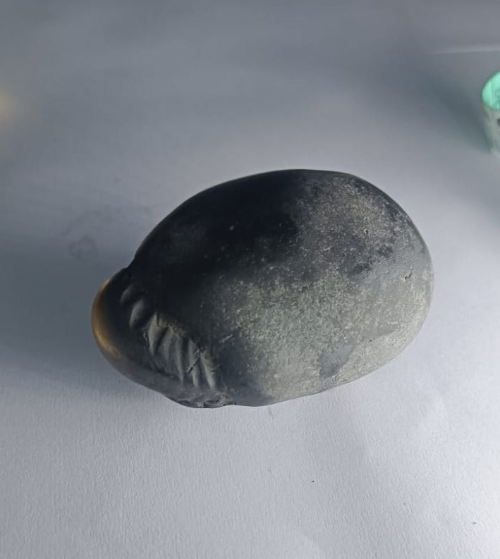 Damodar Shaligram 226g - PUSHMYCART